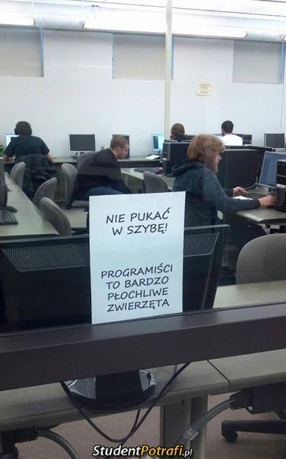 Programiści –  