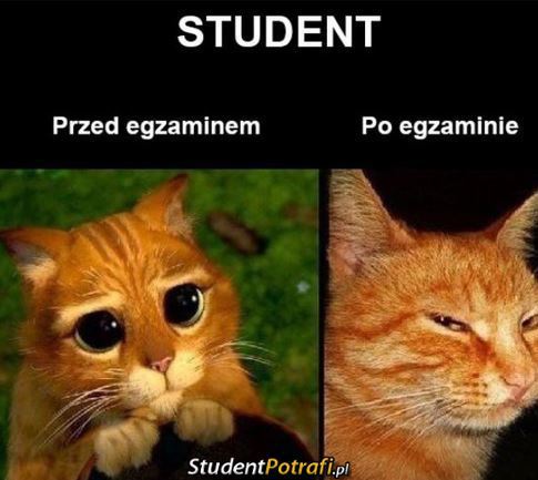 Student –  