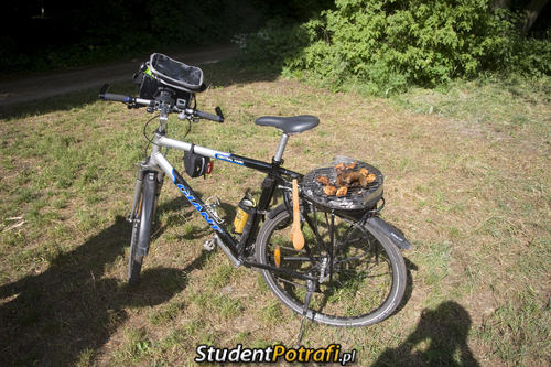 Studencki rower –  